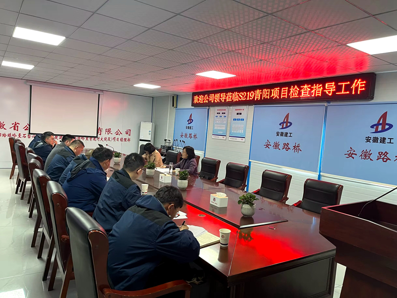 公司黨委委員、紀(jì)委書記王鵬到S219青陽改建項(xiàng)目調(diào)研指導(dǎo)工作